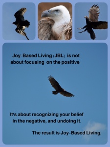 Vulture Meme - Joy Based Living Is - sml